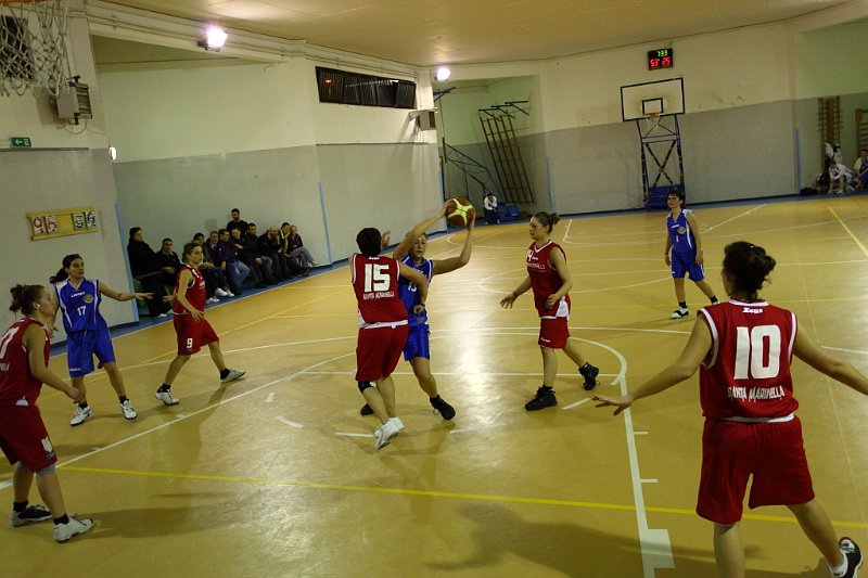 Basket 443094
